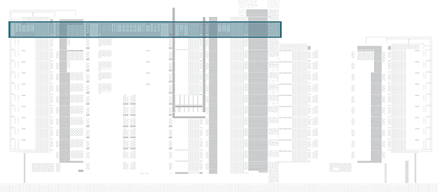 Floor 14 Elevation